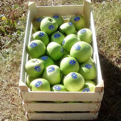 Granny Smith માટે વિગતો બતાવો Granny Smith નું ચિત્ર