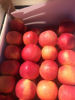 Picture of Apples