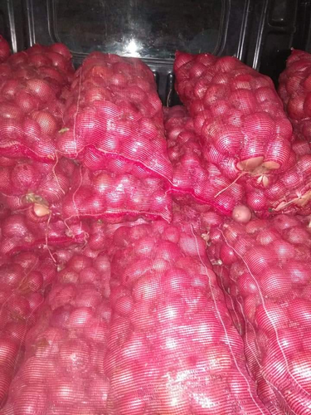 Onion için ayrıntıları göster Onion resmi