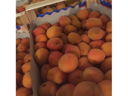 Show details for Apricots Picture of Apricots