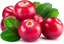 Obrazek Organic Redberry