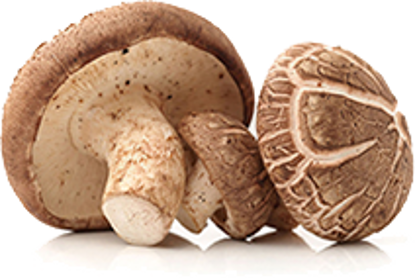 Mostrar detalles de Organic Mushrooms Imagen de Organic Mushrooms