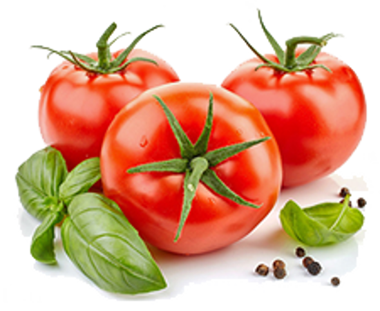 Picture of Organic Tomato