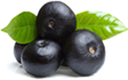 Изображение Organic Blackberry